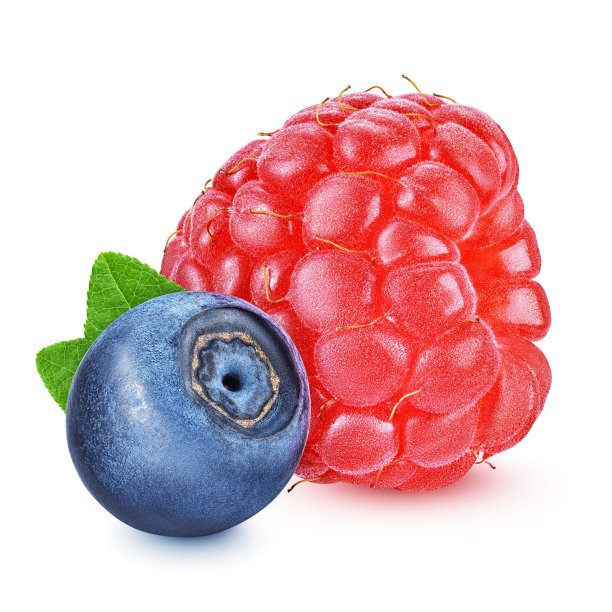 树莓和越桔分离在白色上图片下载
