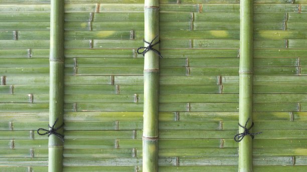日本鲜绿竹墙图片下载