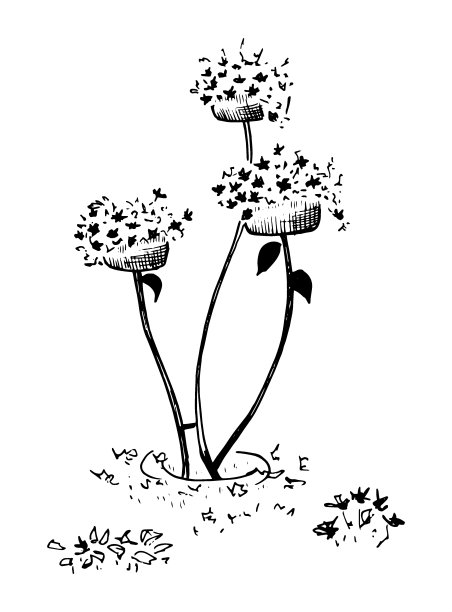 有花的花坛。手绘素描风格的花园床，街花瓶与花。矢量插图。孤立在白色背景上。图片下载