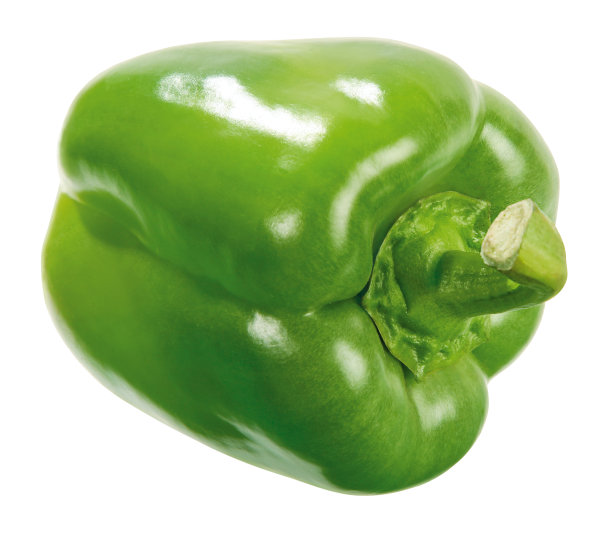 胡椒贝尔图片下载