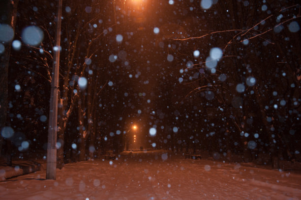 冬季景观与降雪的城市图片下载