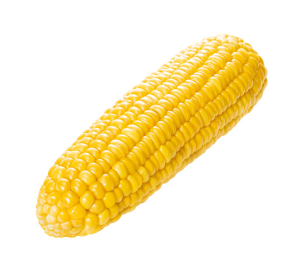 玉米图片下载