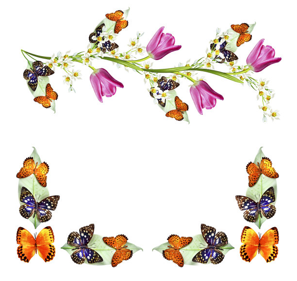 一束色彩鲜艳的鲜花图片下载