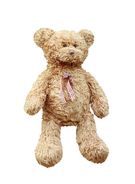 泰迪熊棕色，泰迪熊娃娃孤立在白色背景图片下载
