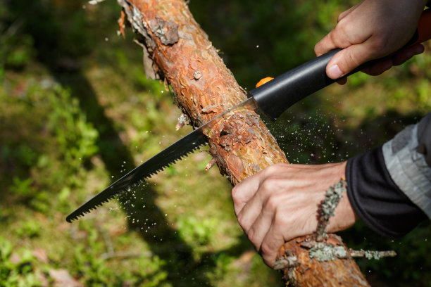 一个人在锯一棵手锯树。图片下载