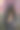幸福女人肖像性感移动在美丽的里加老城的花拱门背景图片下载