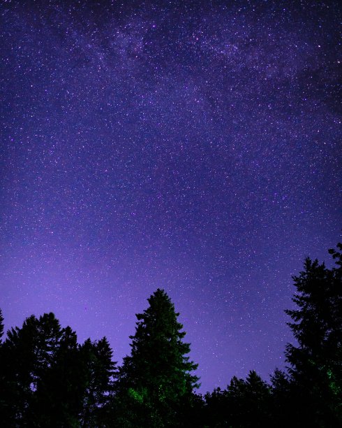 美国华盛顿州夜空中的银河图片下载