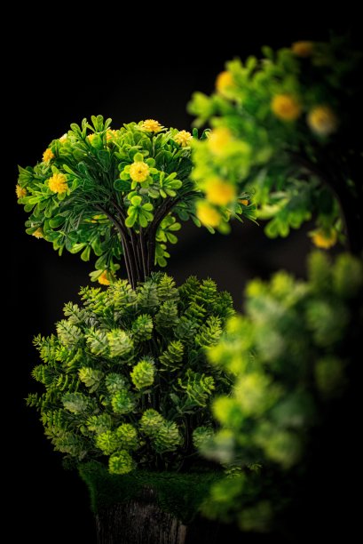 人工植物图片下载