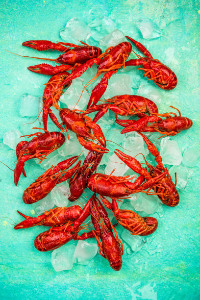 红色小龙虾或龙虾，新鲜冰块，俯视图图片下载