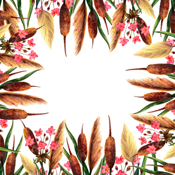 水彩沼泽和水植物，草本植物和花装饰装饰框架孤立在白色的背景图片下载