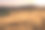 干燥的草在夕阳下闪闪发光，在背景中可以看到云海，圣克鲁斯山脉，旧金山海湾地区，加利福尼亚图片下载