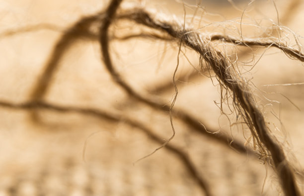 宏观麻绳和纹理背景图片下载