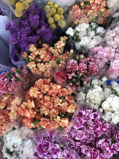 在Pak Khlong Talat花卉市场五颜六色的花图片下载