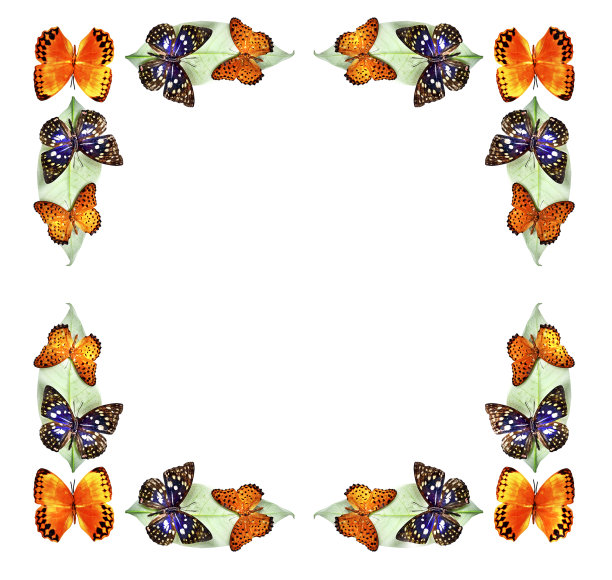 一束色彩鲜艳的鲜花图片下载