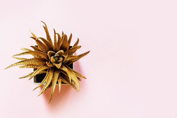 金叶设计元素。装饰元素的邀请，婚礼卡，情人节，贺卡。图片下载