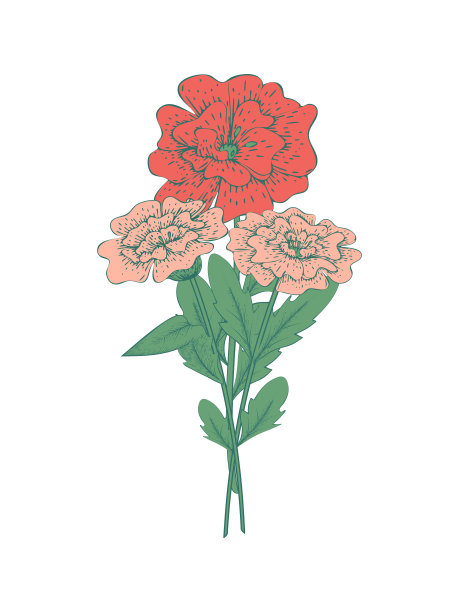 白色背景上的复古花束。图片下载