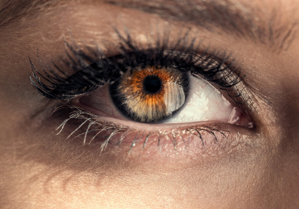 美丽的女性眼睛近距离。图片下载