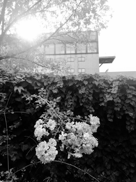 介于黑暗与光明之间图片下载