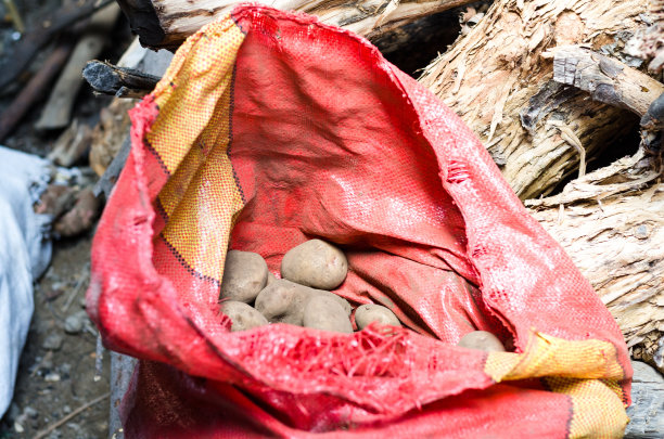 新鲜生土豆袋背景来自农业收获，收获土豆在粗麻袋在农村背景图片下载