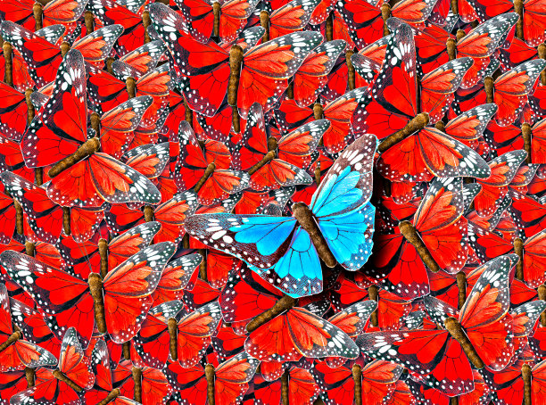 蝶泳金牌的背景图片下载