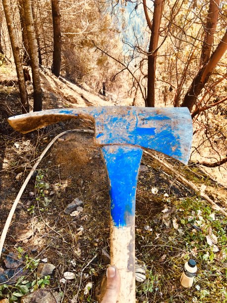 森林火灾荒凉荒地消防队员山火顶景图片下载