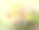在7月的夏日海滩上设计用绿色的棕榈叶和热带木槿花，矢量插图。图片下载
