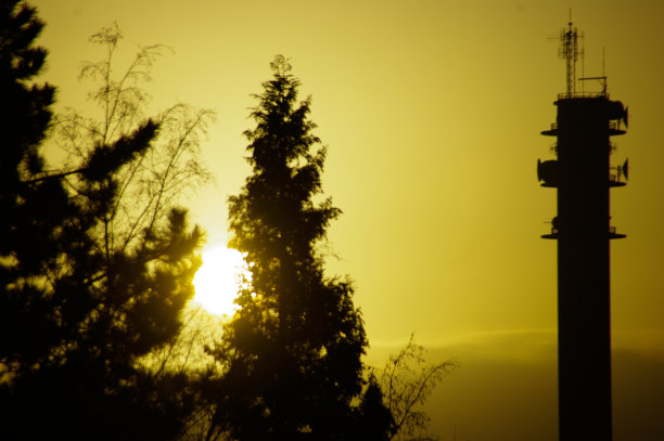 金色的太阳图片下载