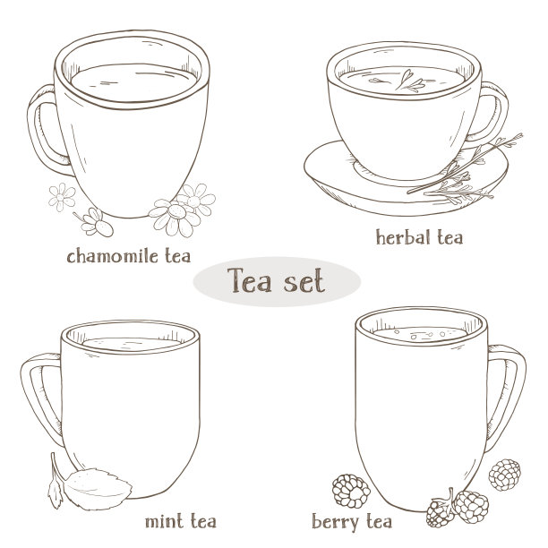 摆上几杯茶。洋甘菊，薄荷，草药和浆果茶。用于餐厅菜单、加工、保健。单色矢量插图素描风格。黑白剪影。图片下载