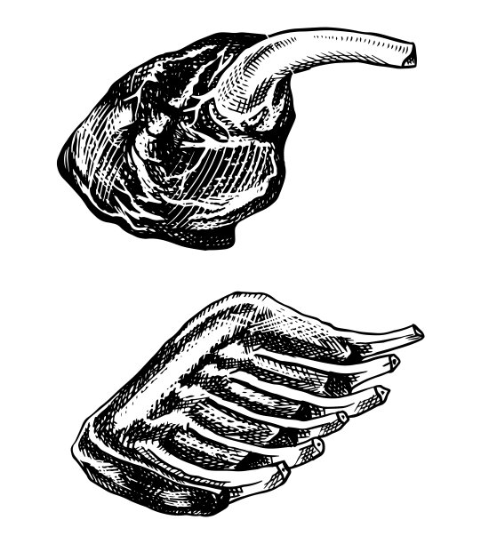 烤肉、叉烧排骨、牛腿。复古风格的烤肉。餐厅菜单、会徽或徽章的模板。手绘草图图片下载