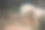 狮子王图片下载