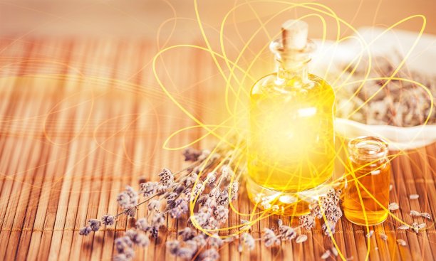 薰衣草。图片下载