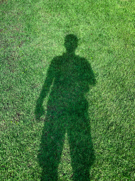 草反映人图片下载