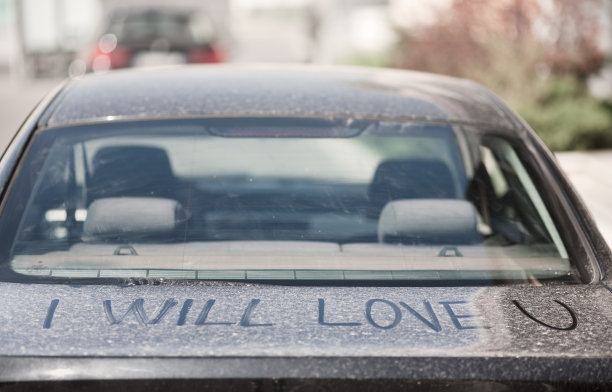 我会爱你图片下载