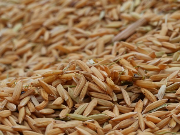 米糠皮图片下载