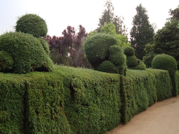 裁剪的草墙图片下载