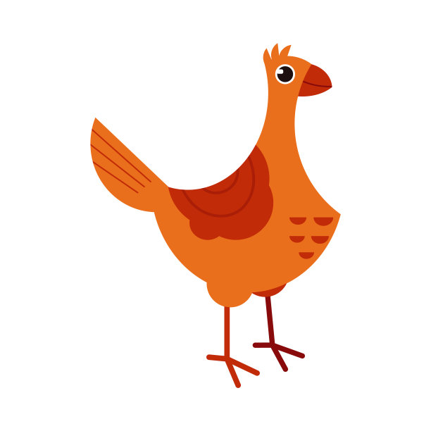 全长棕色母鸡侧观站鸡为环保和有机的概念。图片下载