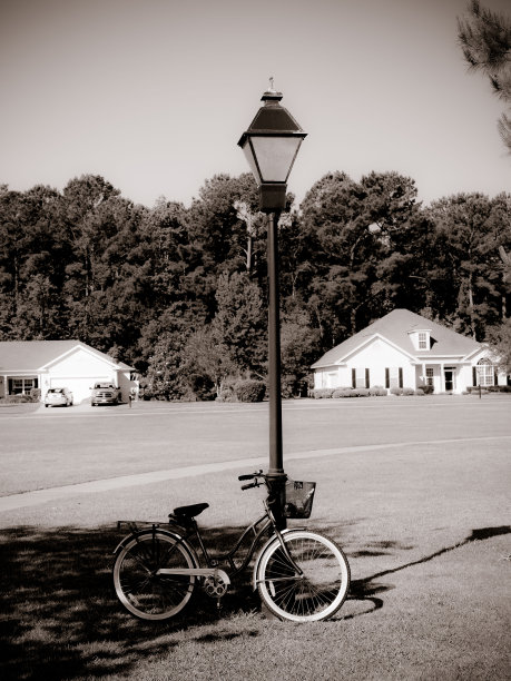 这辆自行车讲了什么故事图片下载