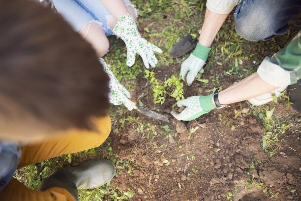 培养意味着帮助彼此成长图片下载