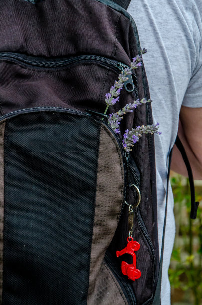 黑色的背包上有三朵薰衣草花和红色的摩托车钥匙链图片下载