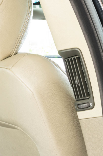 2000年的豪华黑色轿车后座通风图片下载