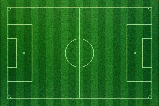 绿草如茵的足球场，球场用白线标出。足球场3D插图。图片下载