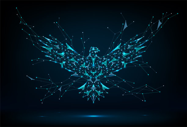 鹰。抽象的鸟。自由的象征。图片下载