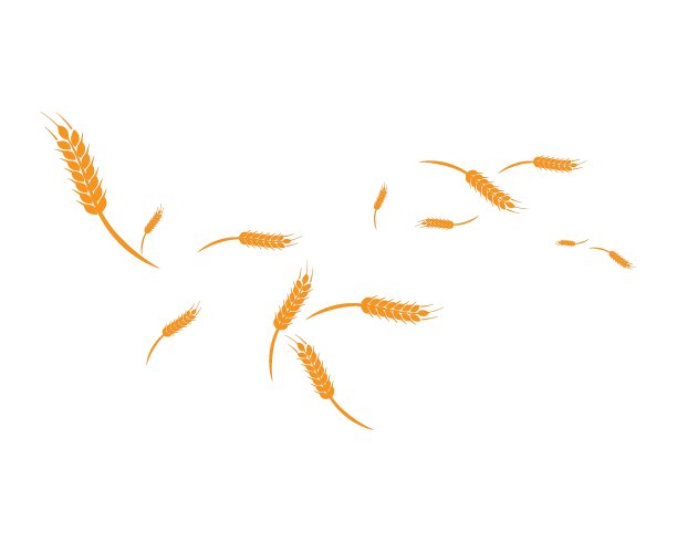 小麦背景模板图片下载