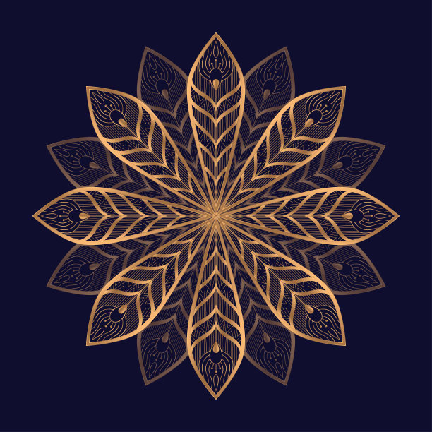 豪华皇家曼陀罗图案矢量元素。民族孔雀羽毛图案。黄金设计的圣诞装饰品，新年节日卡片模板，美容水疗沙龙装饰，婚礼派对邀请。图片下载