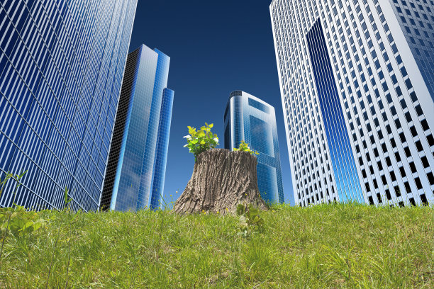 扩大城市建筑和砍伐森林。剪断的树桩又长出了新叶。环境问题的形象，如砍伐森林，二氧化碳和全球变暖。图片下载