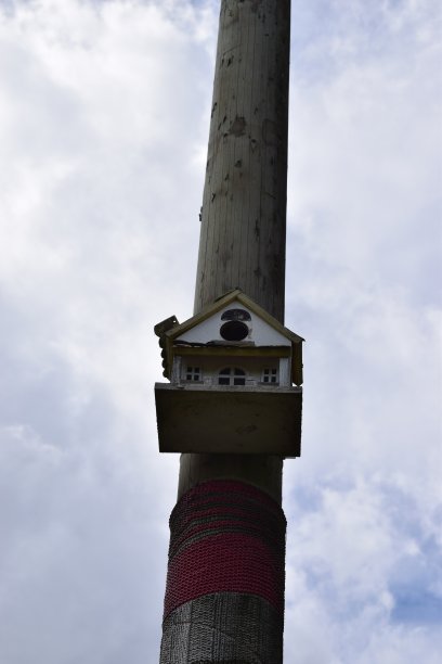 小小鸟舍图片下载