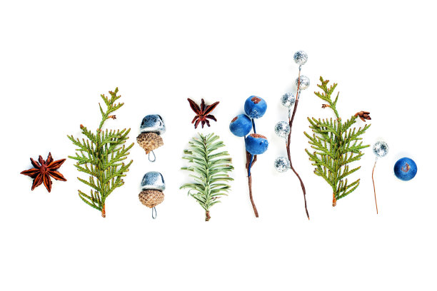 圣诞卡片与冬天冰冻的蓝色浆果和绿色的冷杉枝在白色的背景，顶视图图片下载
