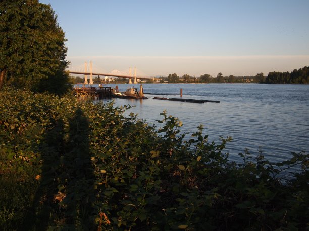 温哥华皮特河皮特草地贝克山的景色图片下载