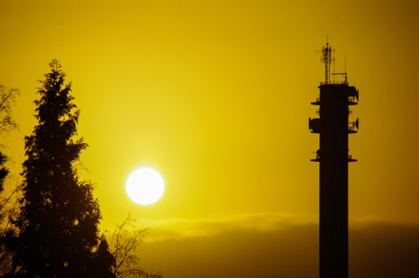 金色的太阳图片下载