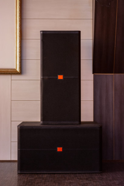 音乐会用的两个黑色低音喇叭图片下载